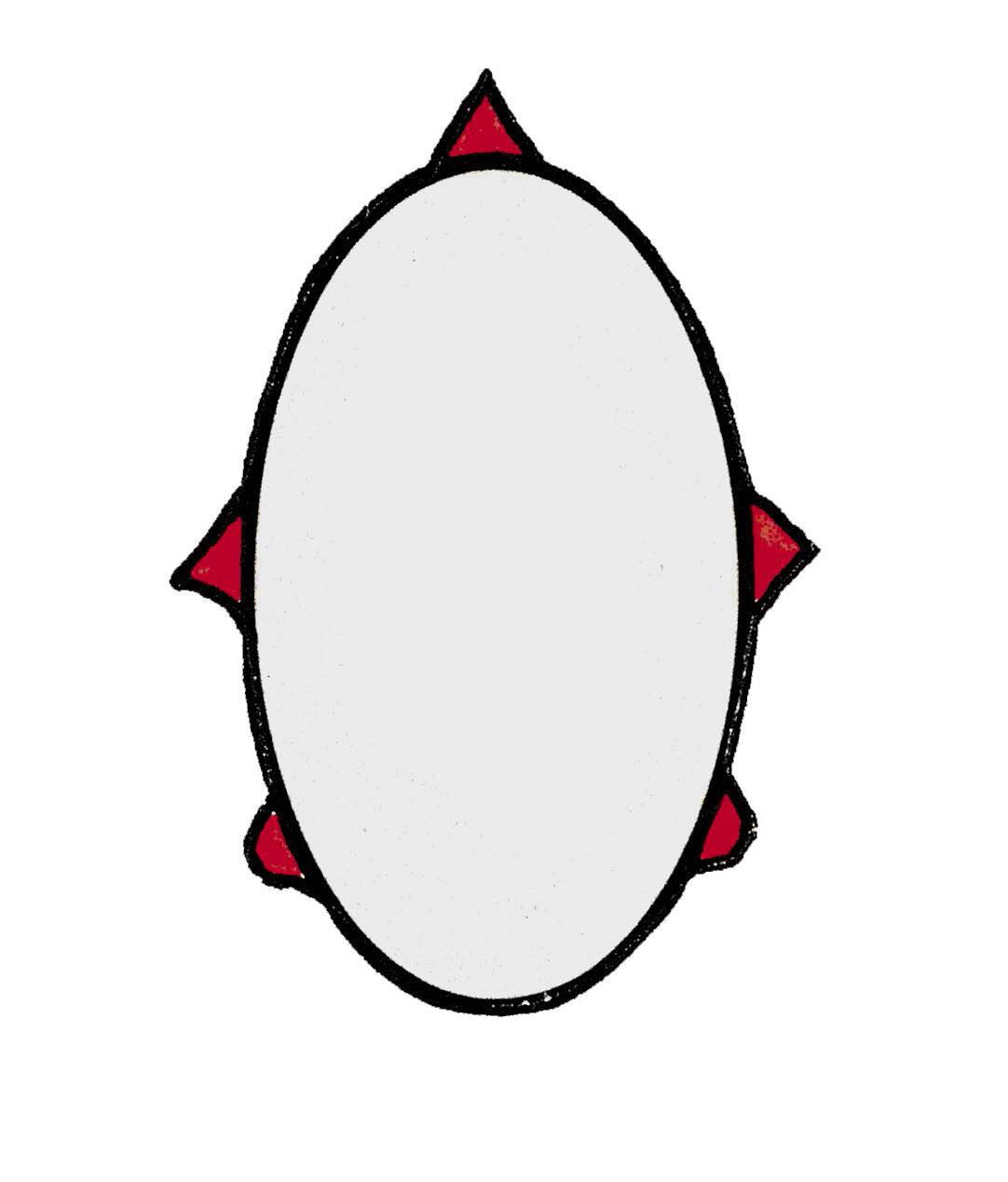 Gemeinsame Merkmale der Störartigen