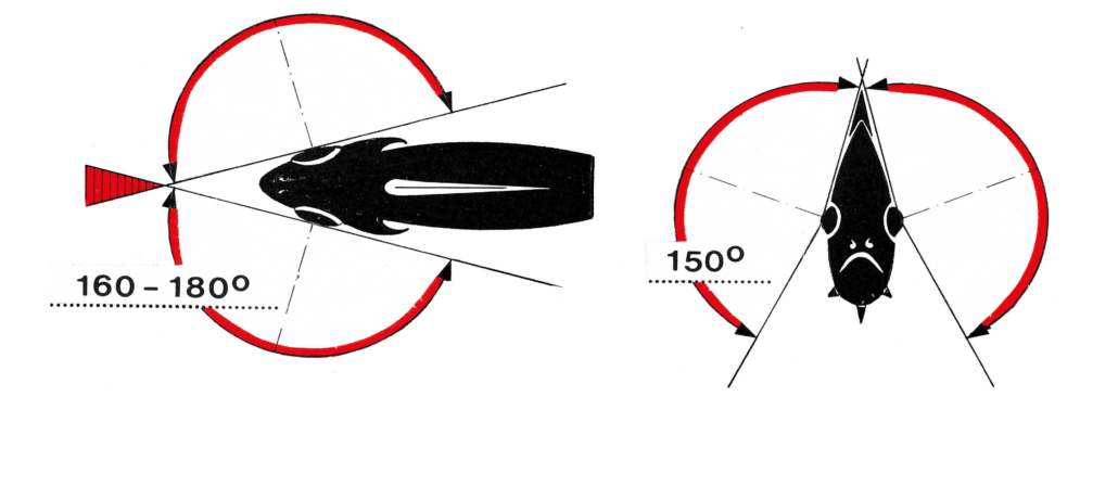 Gesichtsfeld im Wasser