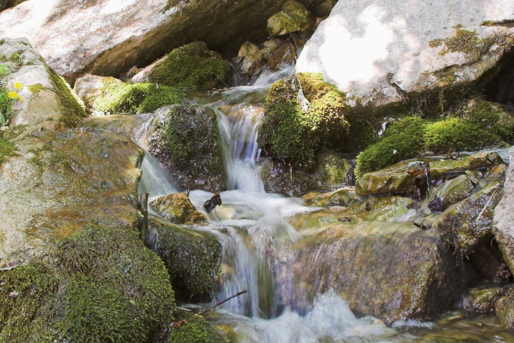 Quellbereich eines Baches