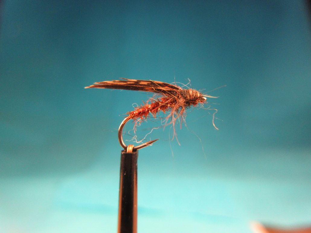 Nassfliege (mit Flügel, klassisch)