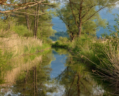 Bayerisches Wassergesetz (BayWG)