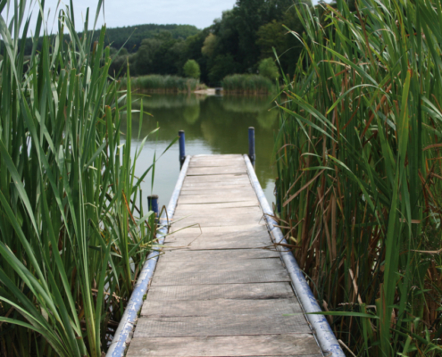 Fischerei und Naturschutz
